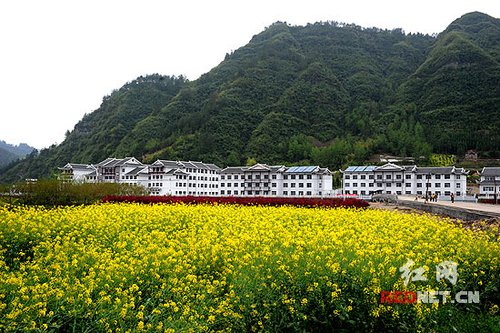 “最牛乡村学校”宿舍都装空气能热水器