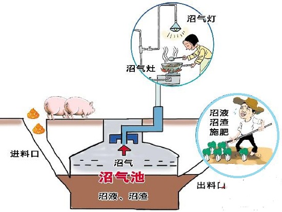 沼气加太阳能 每年为农民节约1亿元