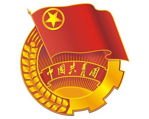 谱写青春华章 海立睿能第一届团代会召开