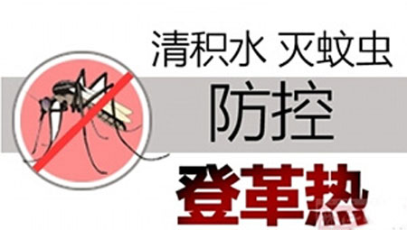 热爱生命 净水防蚊预防登革热