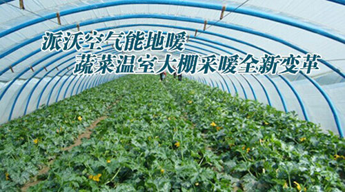 空气能地暖:蔬菜温室大棚采暖全新变革