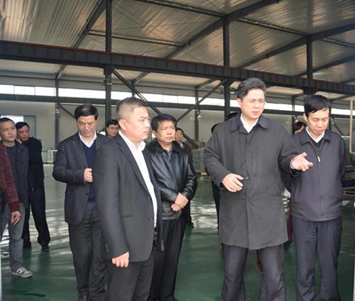 新余市市长丛景文一行参观指导风驰新能源
