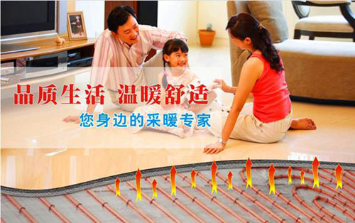 扬子空气能热水器攻占采暖市场
