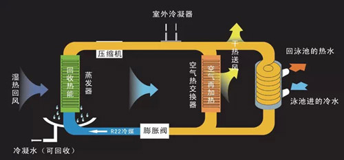 冬泳成时尚 德能空气能助力冬季锻炼