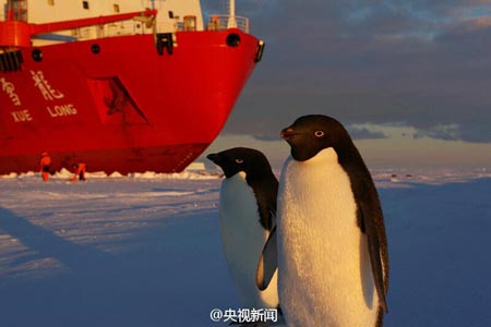 科考队南极卸载纽恩泰空气能产品 引企鹅围观