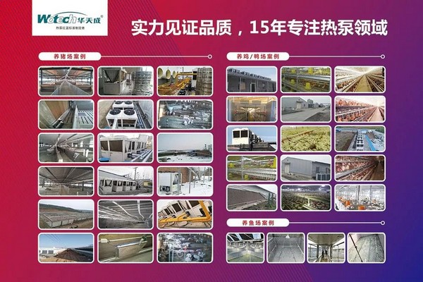 两亿养殖大户：使用空气源热泵 一只鸡全年取暖费不超过3毛钱